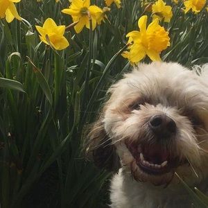 Meet your Posher, Katherine